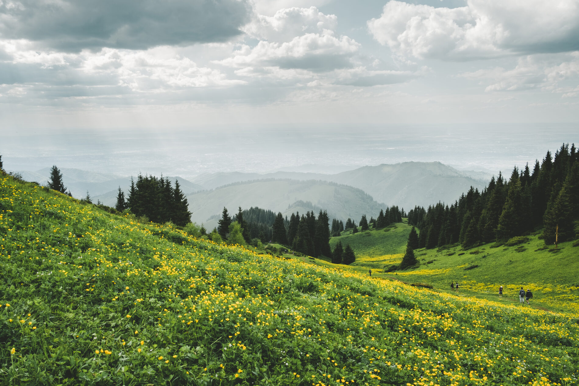 Almaty 3