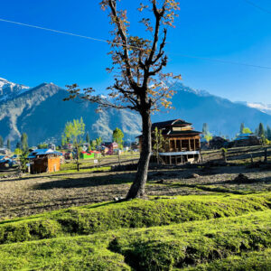 Almaty Feature