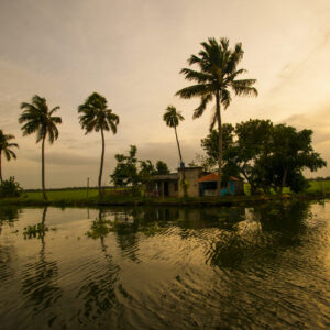 Sunset at the backwaters of Alleppey, Kerala, India.