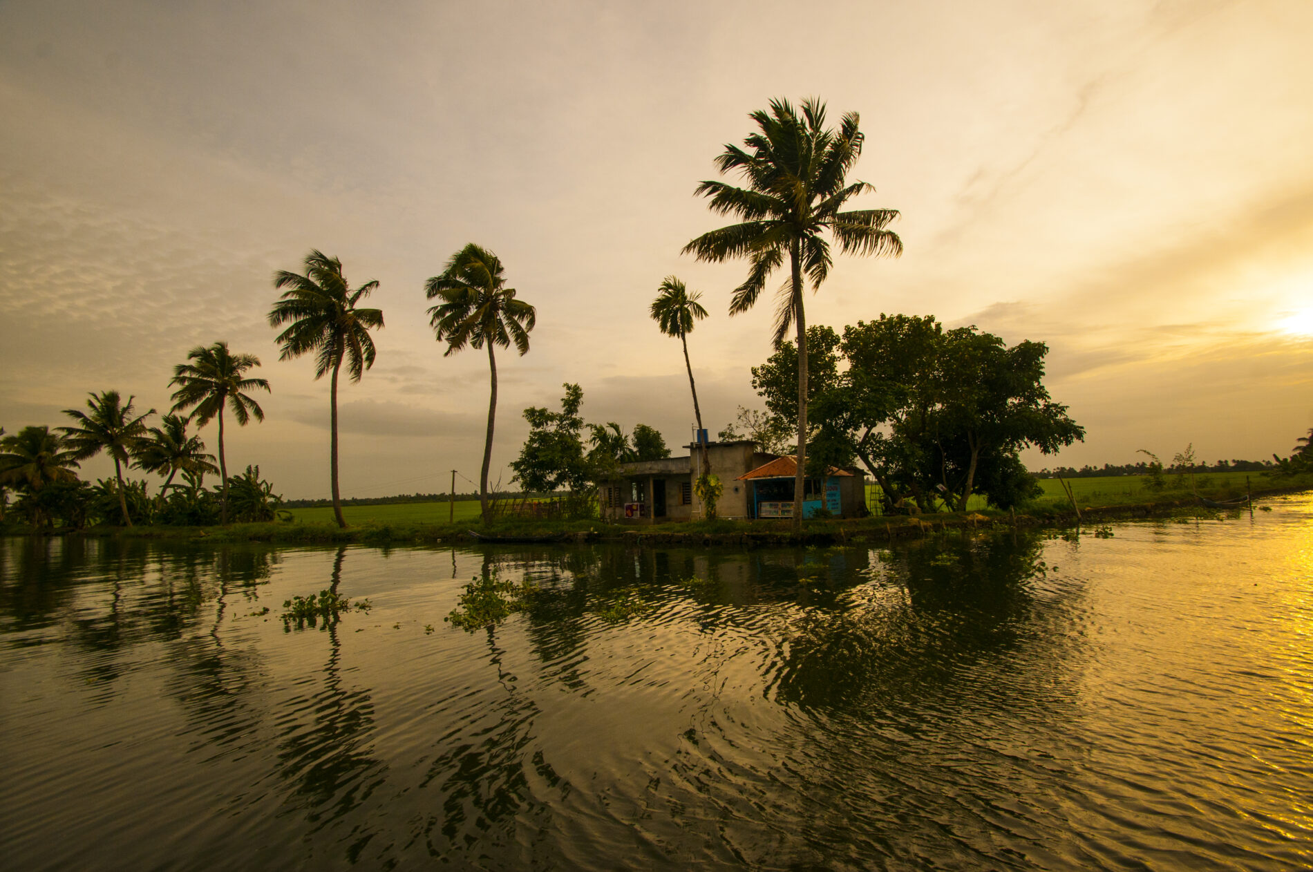 Sunset at the backwaters of Alleppey, Kerala, India.