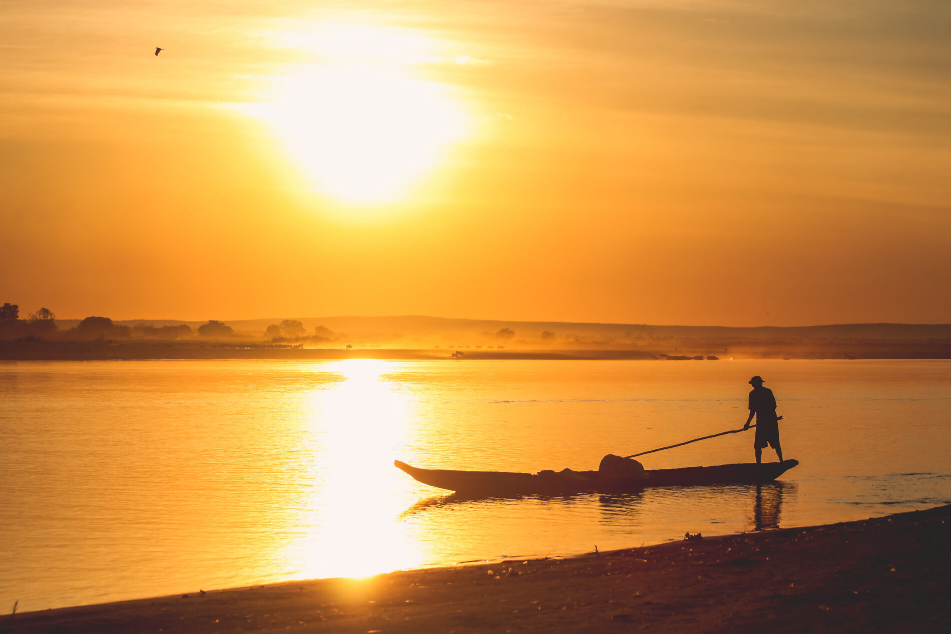 Pirogue at sunset