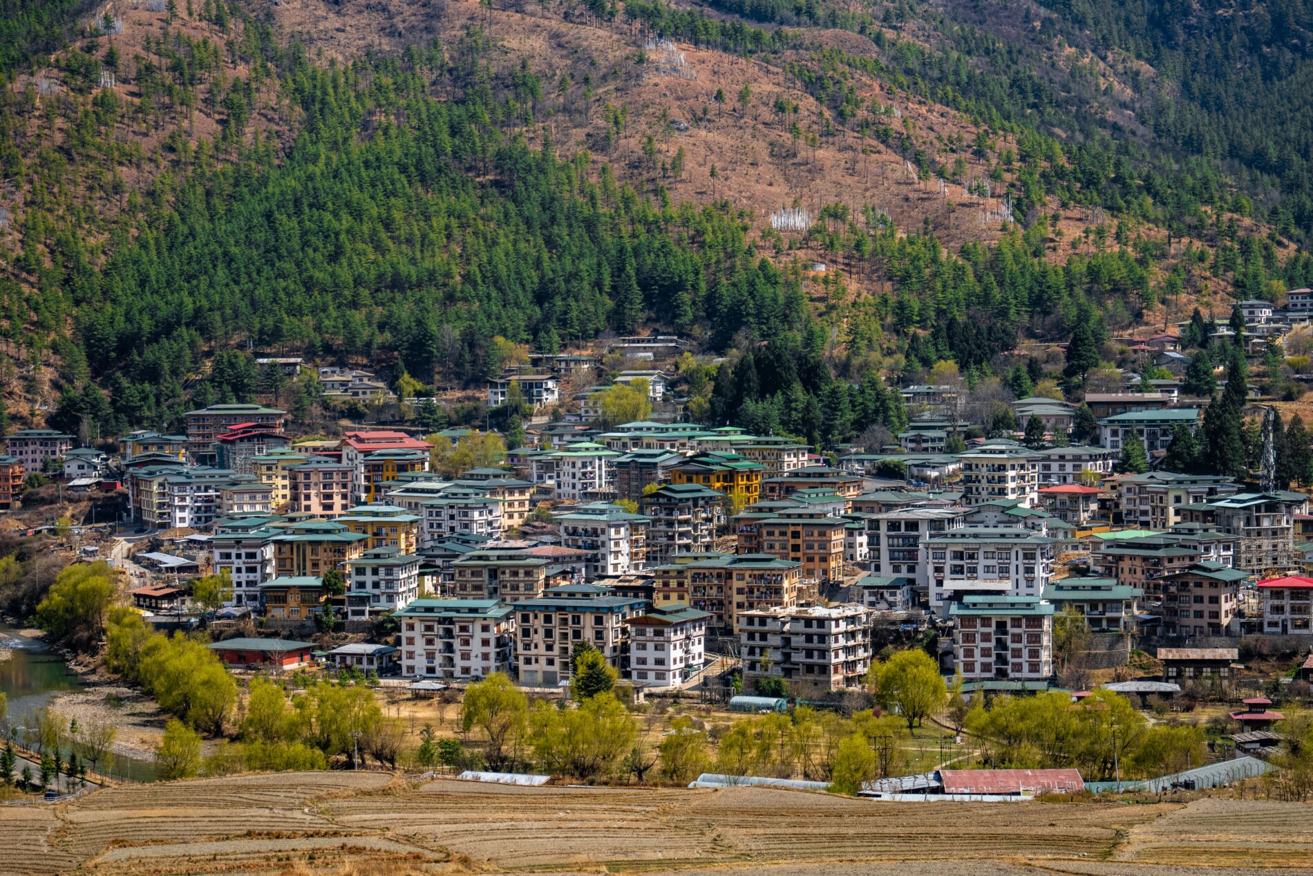 Scenic view of Thimphu city in Bhutan, surrounded by green hills