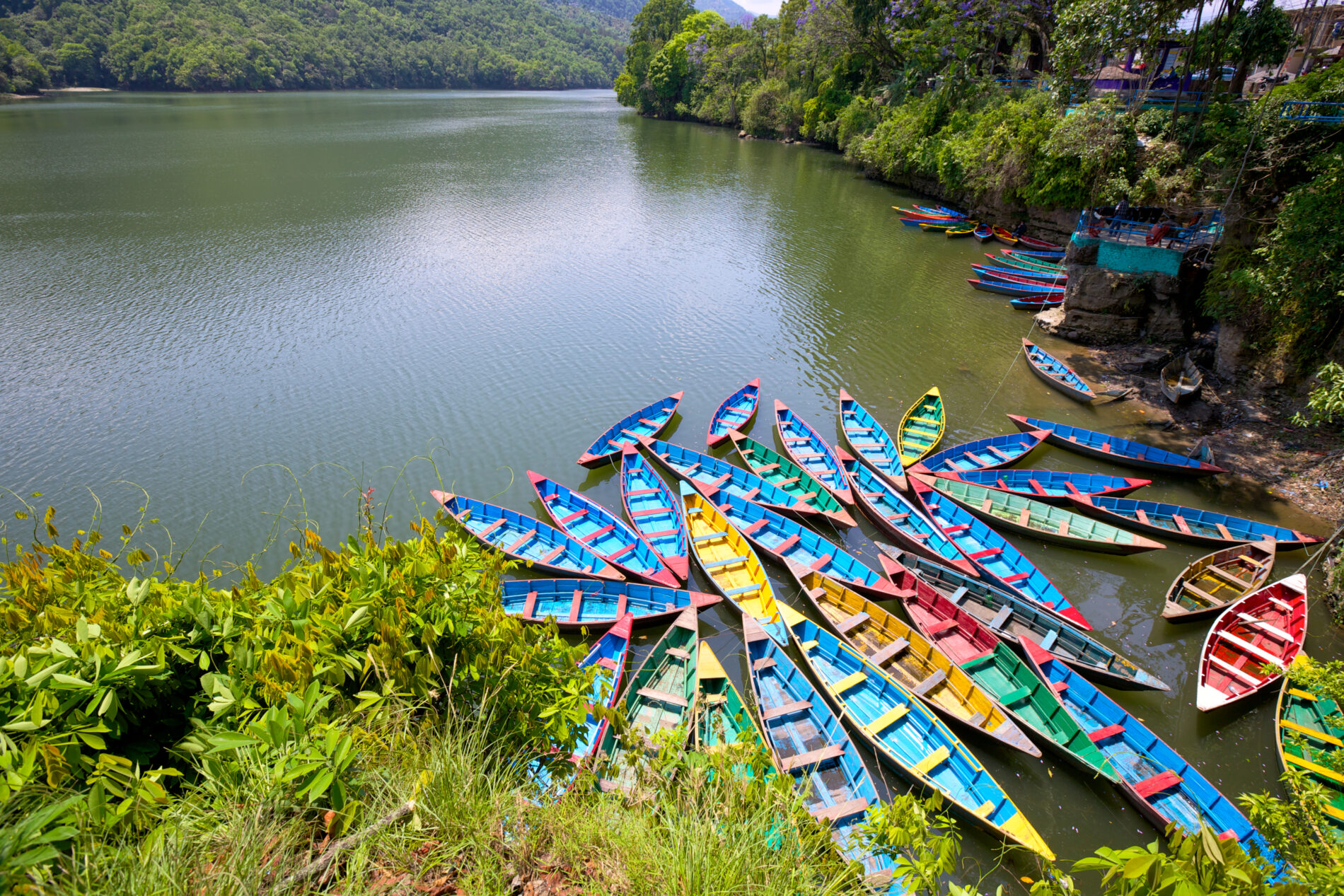 Phewa lake