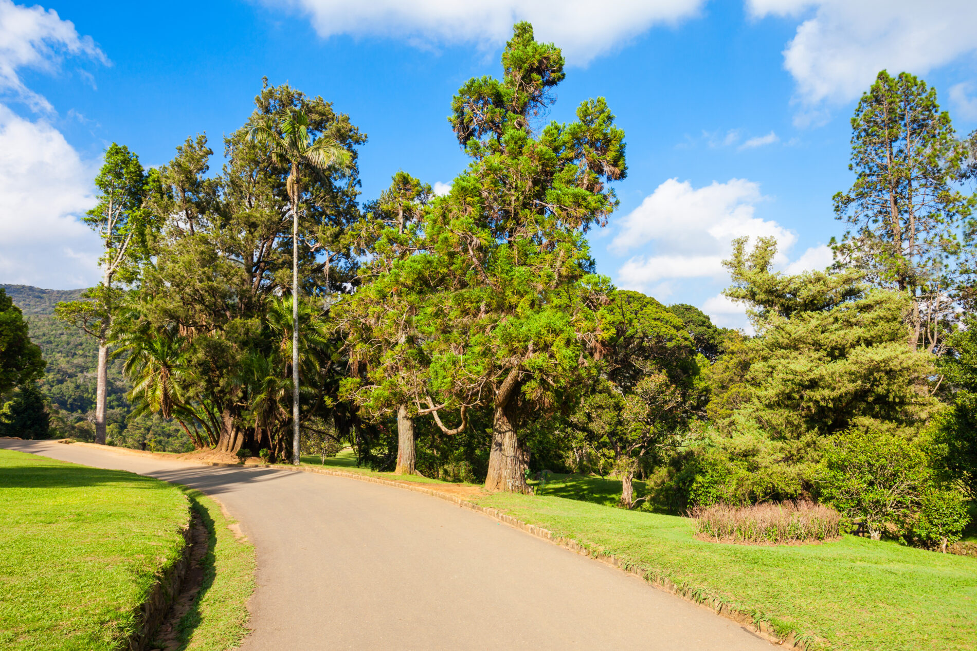 Hakgala Botanical Garden, Nuwara Eliya