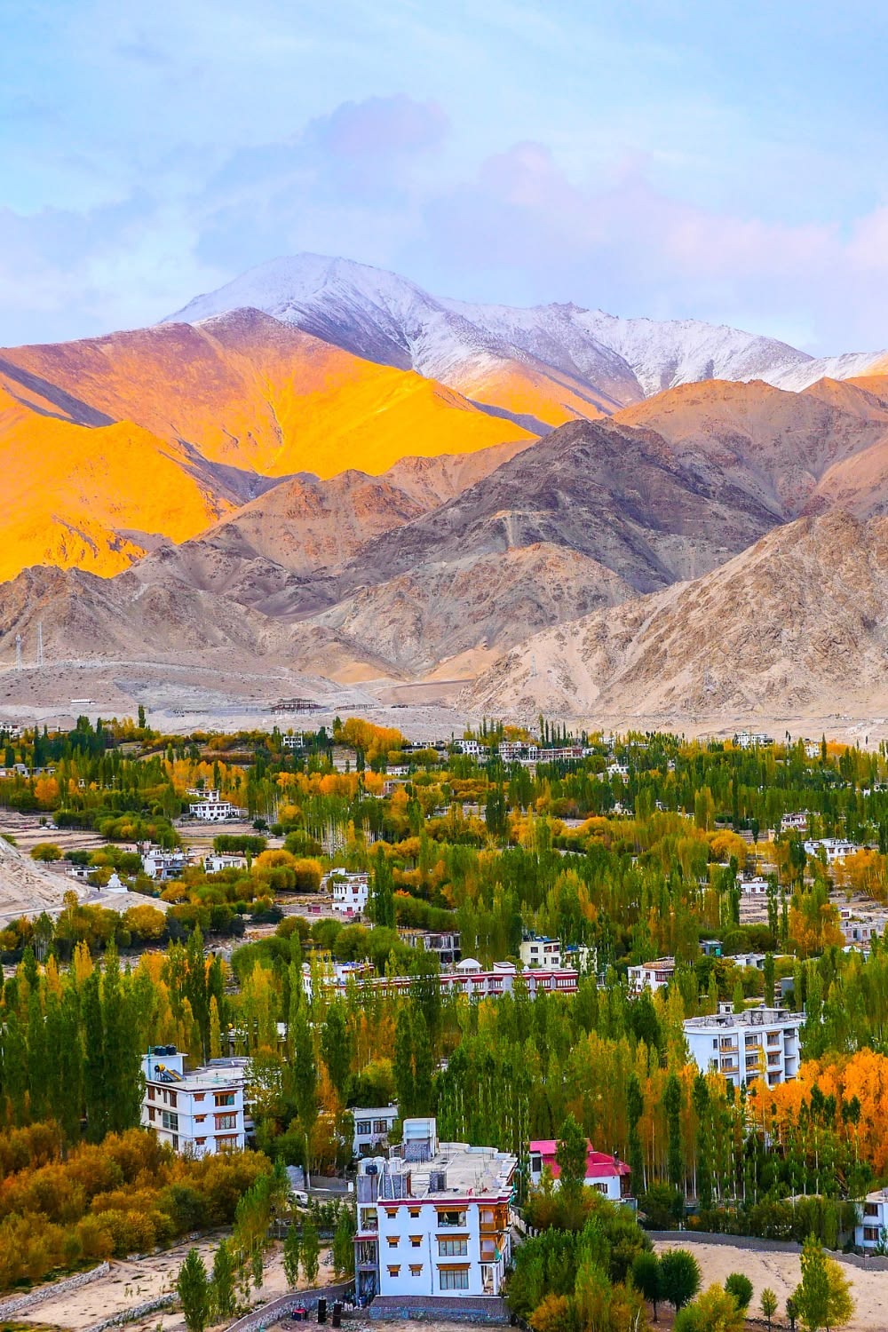 leh ladakh day 5