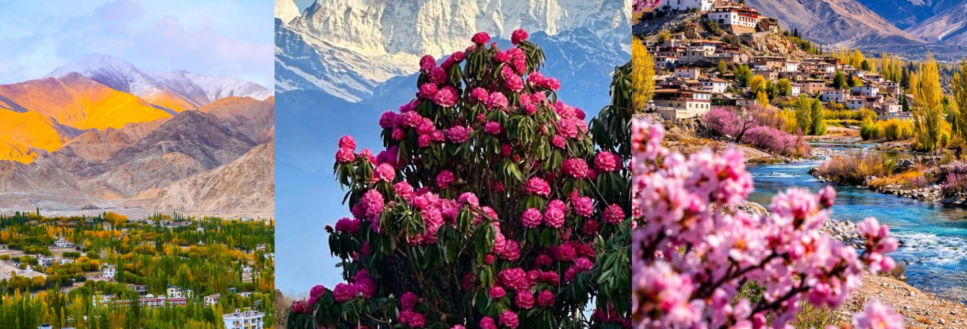leh ladakh feature