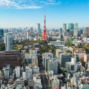 Super Saver Cherry Blossom Japan