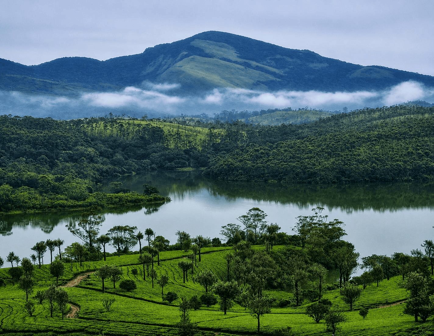 Kerala 2